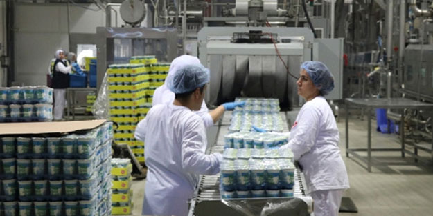 Dev şirkete kayyım atandı