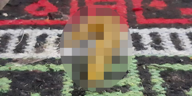 Devasa sülükler Urfa'da ortaya çıktı