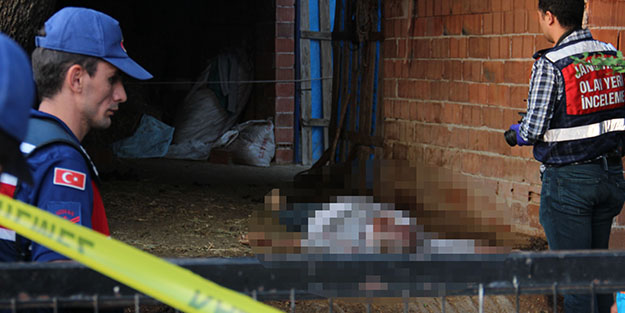 Deve vahşeti! Bakıcısını ısırarak öldürdü