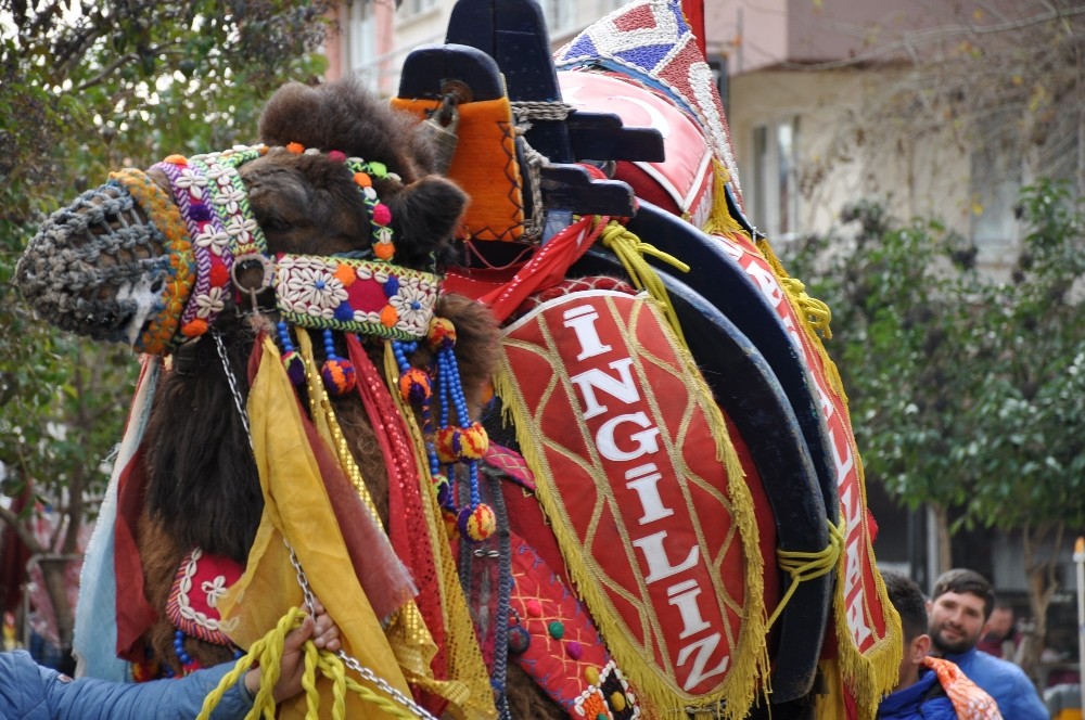 Develer Milas arenasında kozlarını paylaşacak 