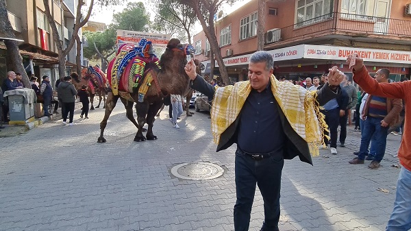 Develer şehir turuna çıktı