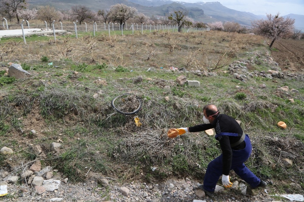 Develi Belediyesi ekiplerinden sokak hayvanlarına mama desteği 