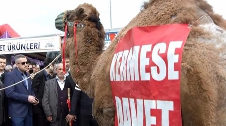 Devenin fiyatı dudak uçuklattı