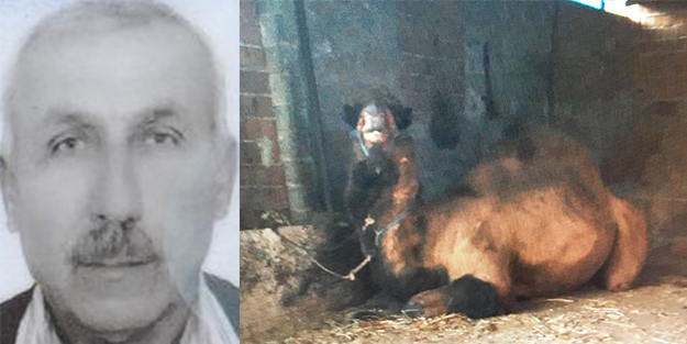 Devenin saldırısına uğrayan vatandaş hayatını kaybetti