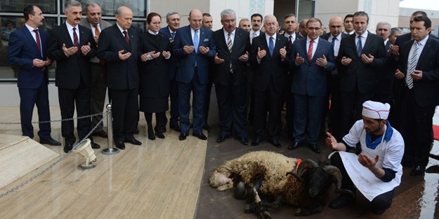 Bahçeli aday oldu koç kestirdi