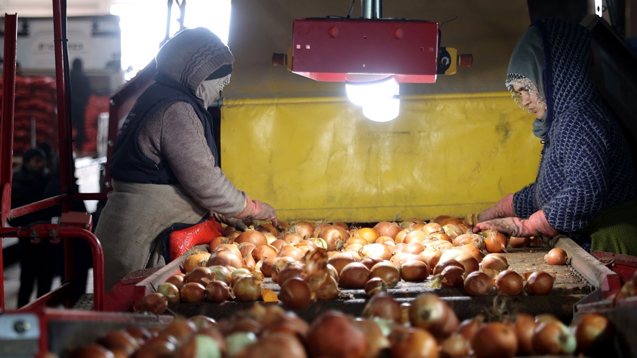 Devlet desteği aldı! 30 kişiye istihdam sağladı