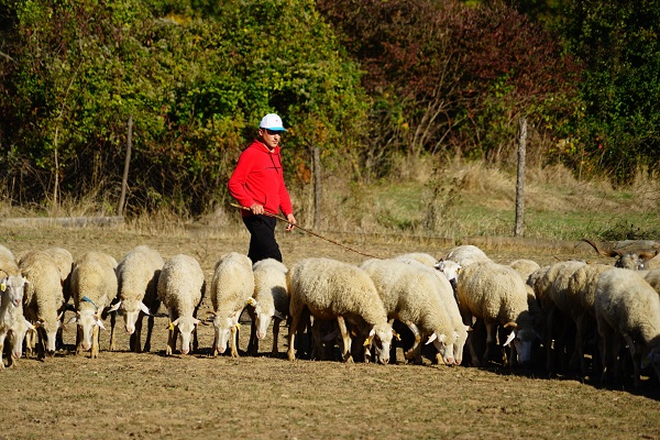 Devlet desteği aldı gelirini üç katına çıkardı