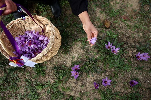 Devlet desteği aldı üretim alanını 10 kat büyüttü