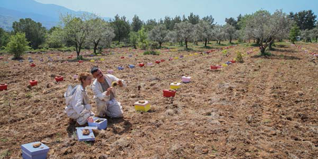 Devlet desteği ile başladılar... Şimdi 300 bin lira gelirleri var!