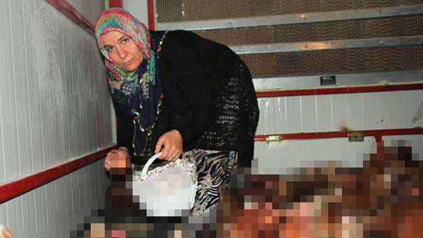 Devlet desteği ile işe girdi; Topladığı gibi kapışılıyor, günlük…