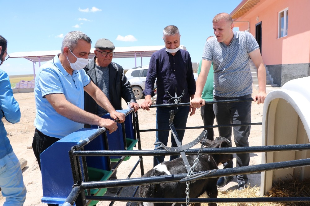 Devlet desteği ile süt işletmesi kurdu 