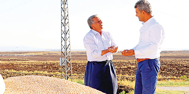 Devlet desteği nohut ekimini 8 kat artırdı