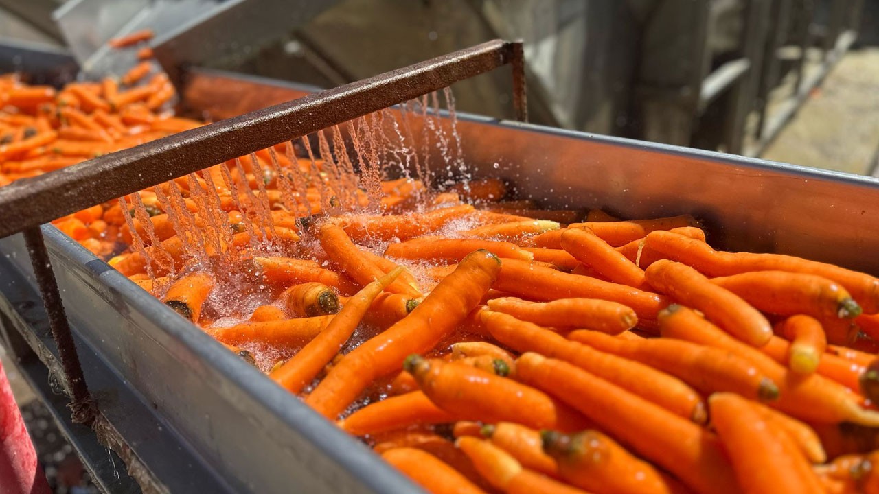 Devlet desteğiyle başladı, 30 kişiye iş kapısı açtı!