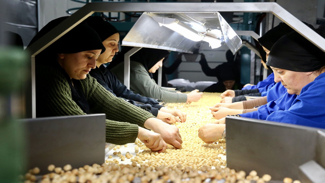 Devlet desteğiyle büyüdü! Yıllık 8 bin ton fındık ihraç eder hale geldi