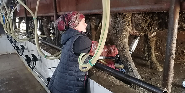 Devlet desteğiyle çiftlik kuran üniversite mezunu kadın herkesi şaşkına çevirdi