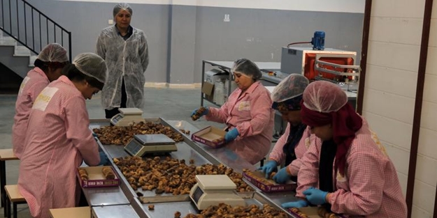 Devlet desteğiyle kurdu! Şimdi ihracat yapıyor