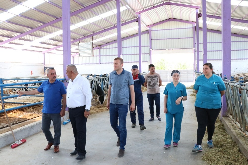 Devlet desteğiyle kurulan kooperatif yılda 600 ton süt üretiyor 
