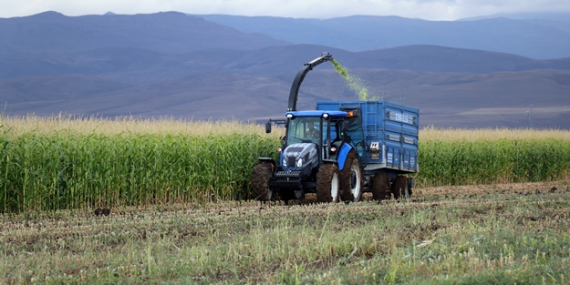 Devlet desteğiyle mısır yetiştiriciliği yaygınlaşıyor