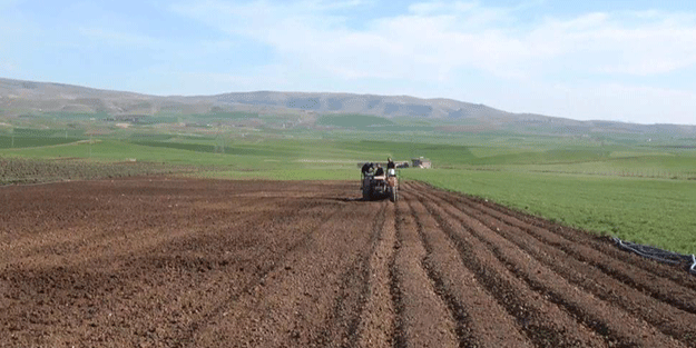 Devlet destek verdi! Siirt’ten Türkiye ekonomisine dev katkı