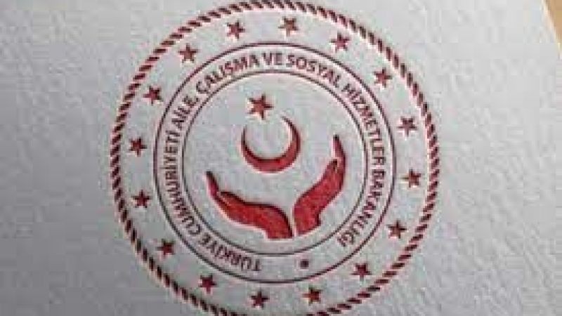 Devlet korumasından yararlanan 958 genç kamuya atanacak