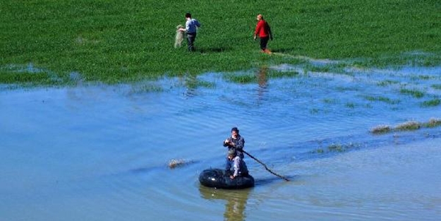 Devlet, Köylülerin yakaladığı dev sazanın peşine düştü