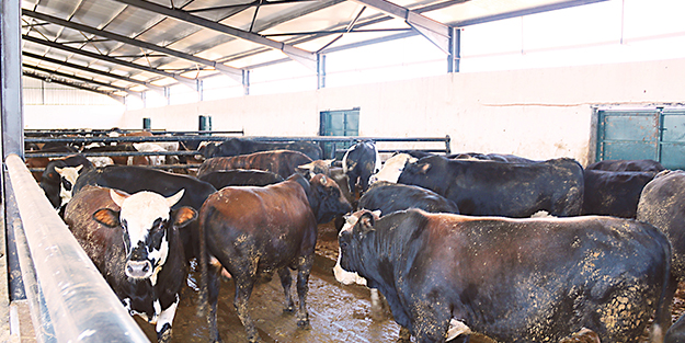 Devlet verdi, vatandaş üretti!