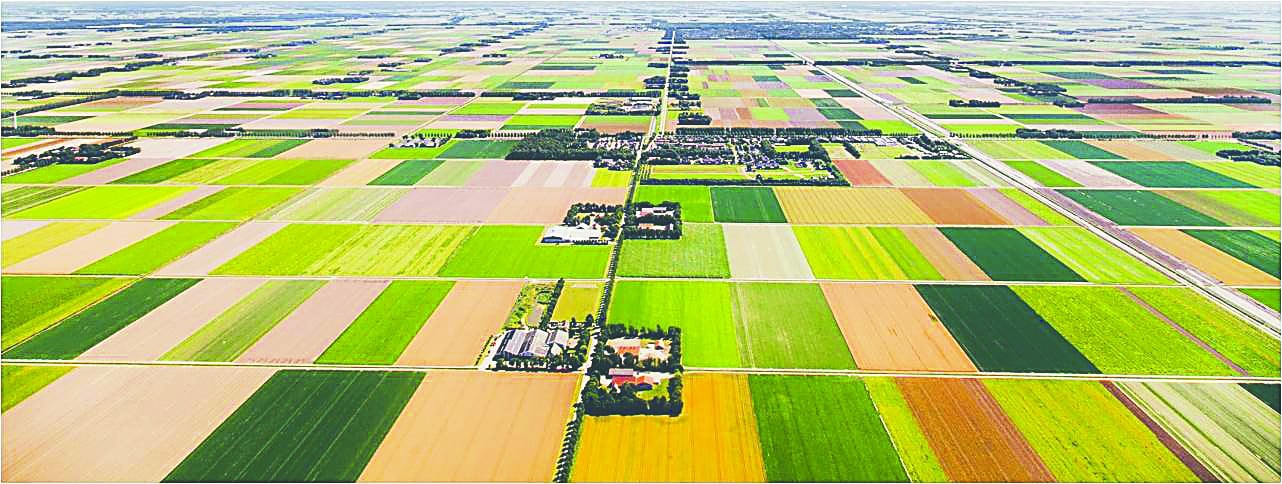 Devletin toplulaştırma projelerine güvenen kazanır