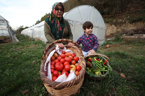 Devletten destek aldı ata tohumuyla sebze yetiştirmeye başladı