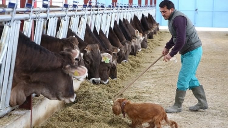 Devletten teşvik aldı! Ayda 20 bin TL kazanıyor...