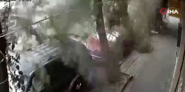 Devrilen ağacın altında kalmaktan son anda kurtuldular