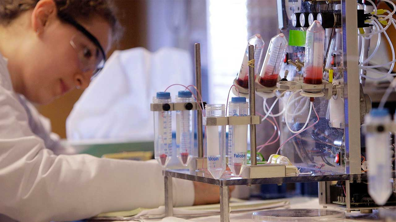 Devrim gibi çalışma: İnsanı 30 yaş birden gençleştirdiler