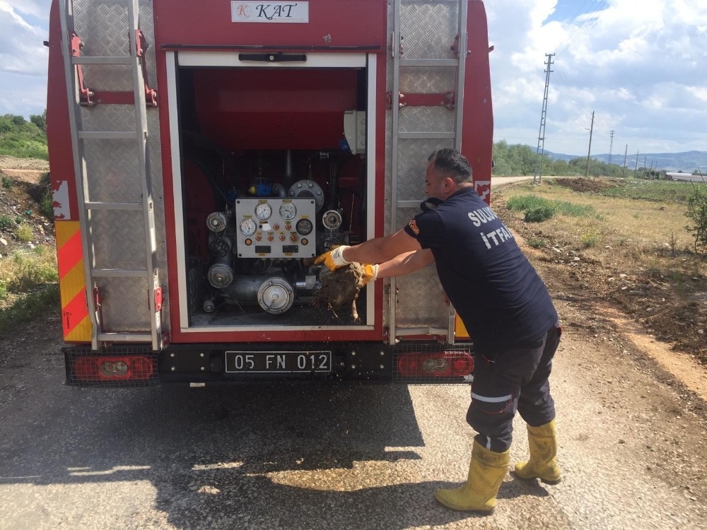 Devriye gezen polis fark etti, Suluova itfaiyesi kurtardı 