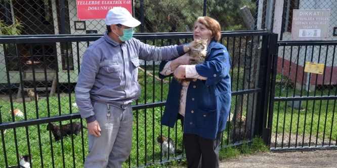 Sokak hayvanları sahipsiz kalmıyor
