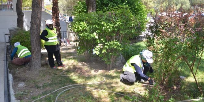 Soma’da park ve bahçelere kadın eli