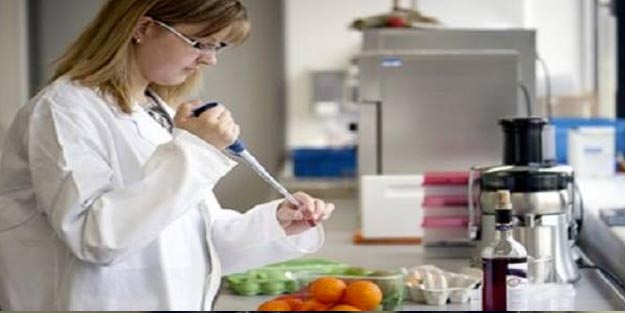 DGS gıda mühendisliği taban puanları 2019 kontenjan