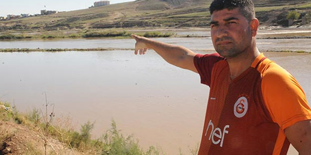 Dicle Nehri'nde mahsur kalan eşek kurtarılmayı bekliyor