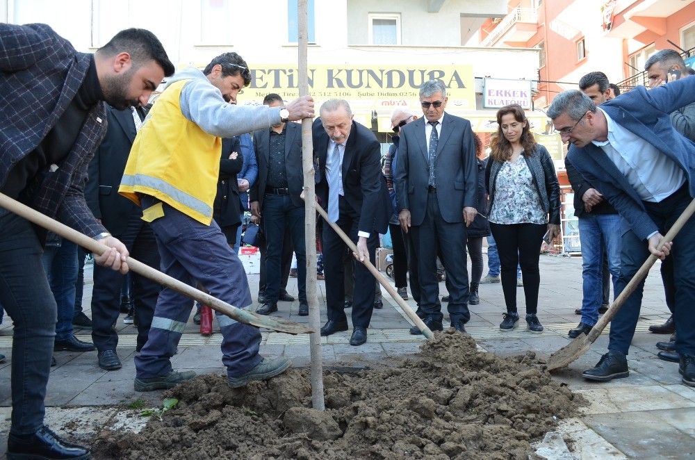 Didim Belediyesi’nden yeni peyzaj çalışması için ilk adım 