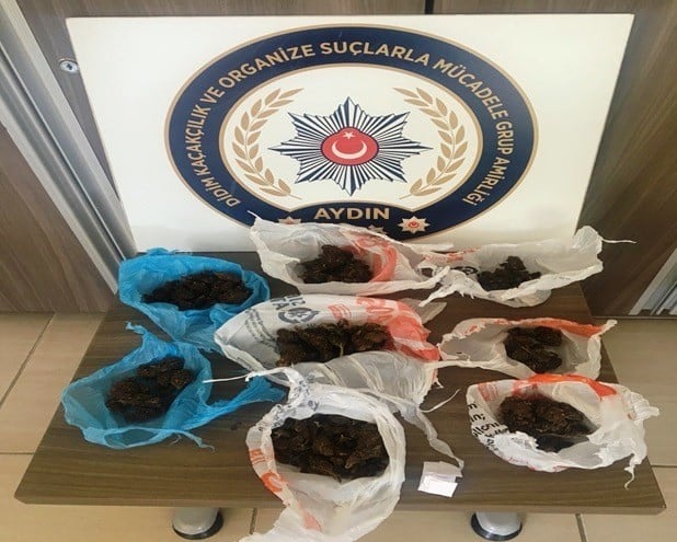Didim polisinden skunk operasyonu: 4 gözaltı 
