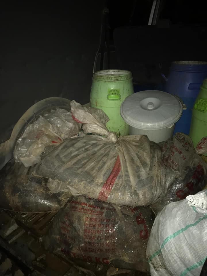 Didim’de 500 kilo deniz patlıcanı ele geçirildi 