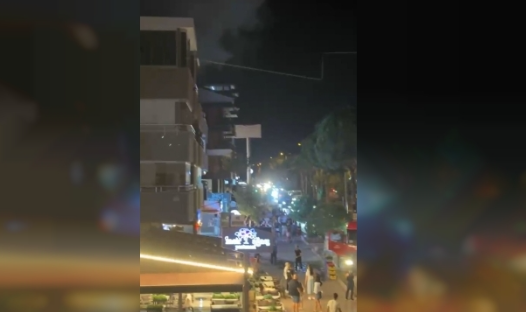 Didim'de gece yarısı yangın paniği! Apartman dairesi alevlere teslim oldu