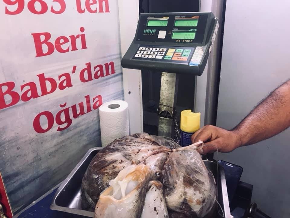 Didim’de kaçak avlanan 2 amatör cezalandırıldı 