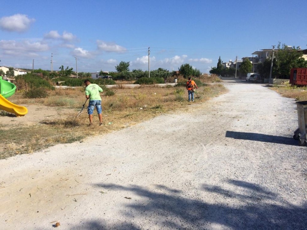 Didim’de Park Bahçeler Müdürlüğü çalışmalarına devam ediyor 