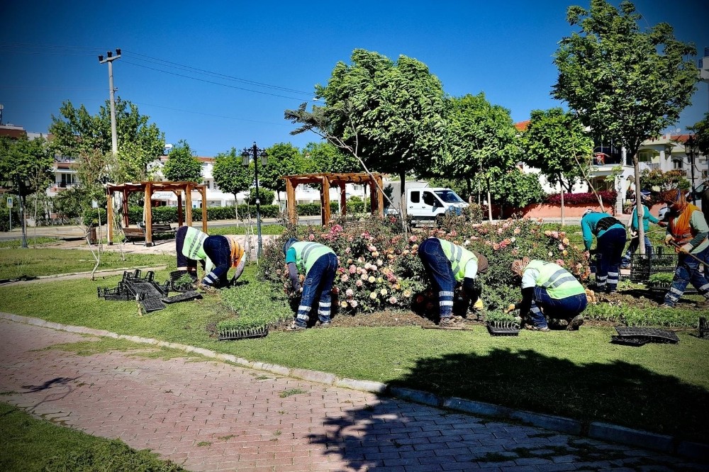 Didim’de parklarda yaza hazırlanıyor 