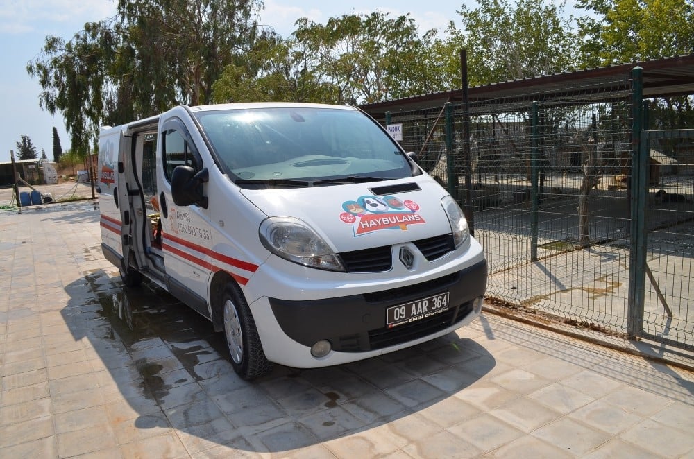 Didim’de sokak hayvanlarının bir ambulansı oldu 