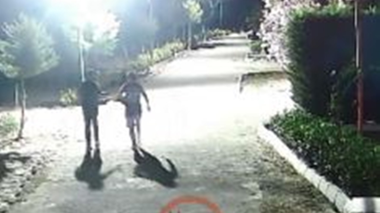 Didim'de ‘yan baktın’ kavgası kanlı bitti