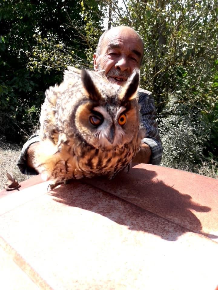 Dikenlik alanda mahsur kalan baykuşu vatandaş kurtardı 
