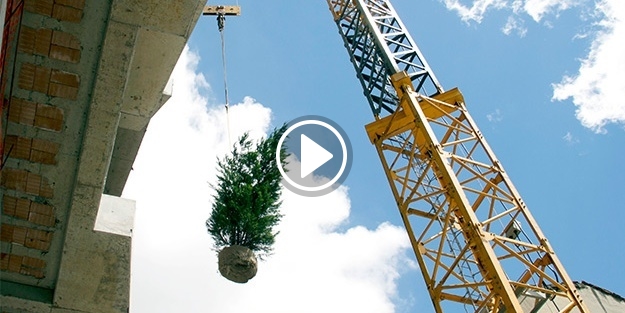 ‘Dikey Orman’ın ilk ağacı dikildi