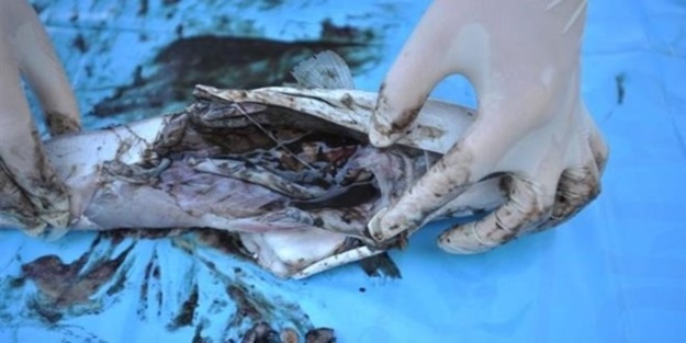 Dikkat! 200 gram yiyen ölüyor