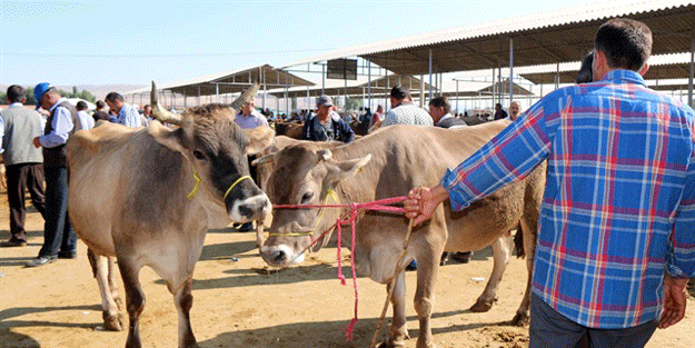 Dikkat! 49 bin lira cezası var