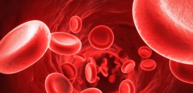 Dikkat! Anemi, kanser habercisi olabilir